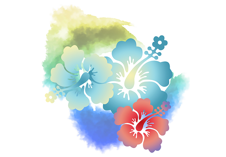 hawaiische-Hibiskus-Blüte